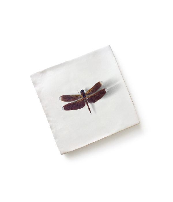 Angove Menagerie Ceramic Dragonfly